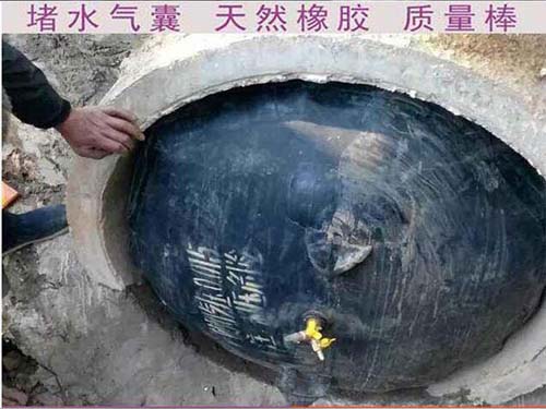 封堵氣囊